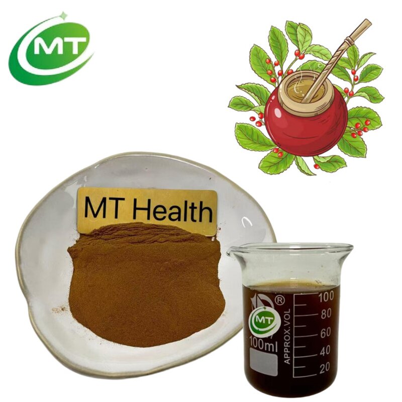 Yerba Mate Extract - GMO Free Herbal Dietary Supplement Tea Ingredient
