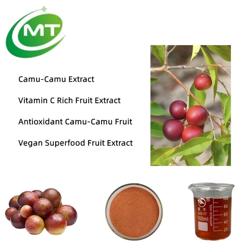 Camu Camu Fruit Powder - 25% Vitamin C 100% Pure Natural Supplement