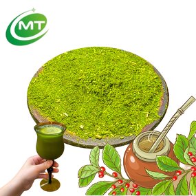 Ilex Paraguariensis Powder - 100% Pure Yerba Mate Extract Free Sample Wholesale