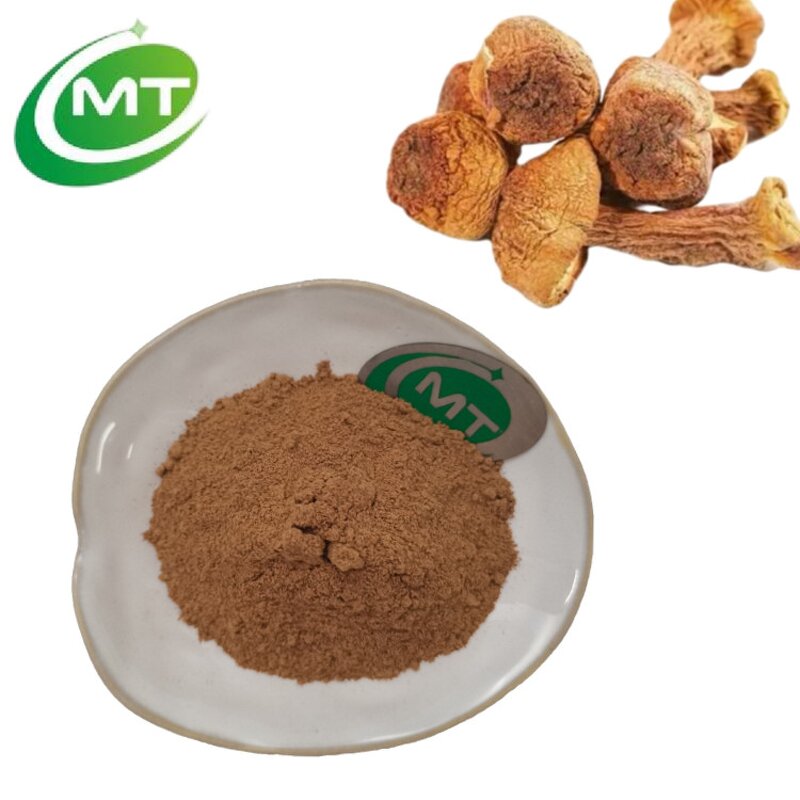 Agaricus Blazei Extract - Natural Mushroom Immune Support Plant Extract Free Sample