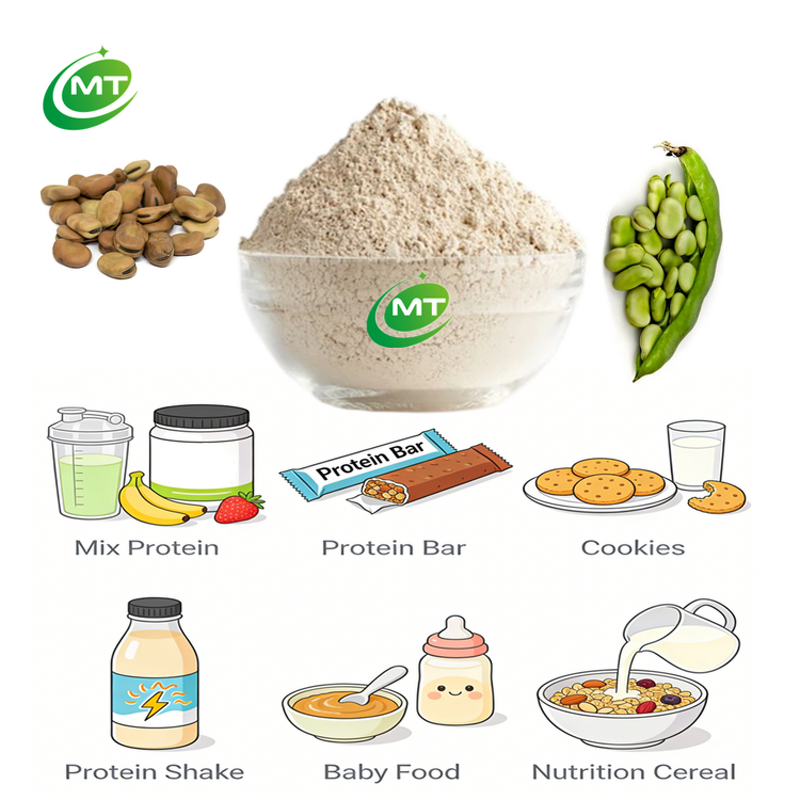 Faba Bean Protein Powder - 90% Isolate Broad Fava Bean Bulk Factory Supply