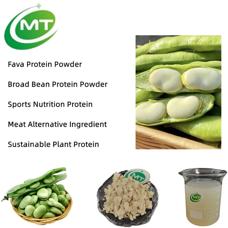 Faba Bean Protein Powder - 90% Isolate Broad Fava Bean Bulk Factory Supply