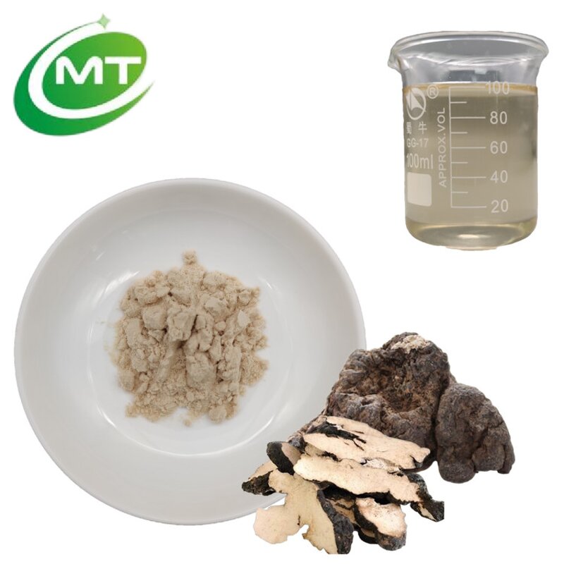 Polyporus Umbellatus Extract - Zhu Ling Mushroom Natural Immune Support