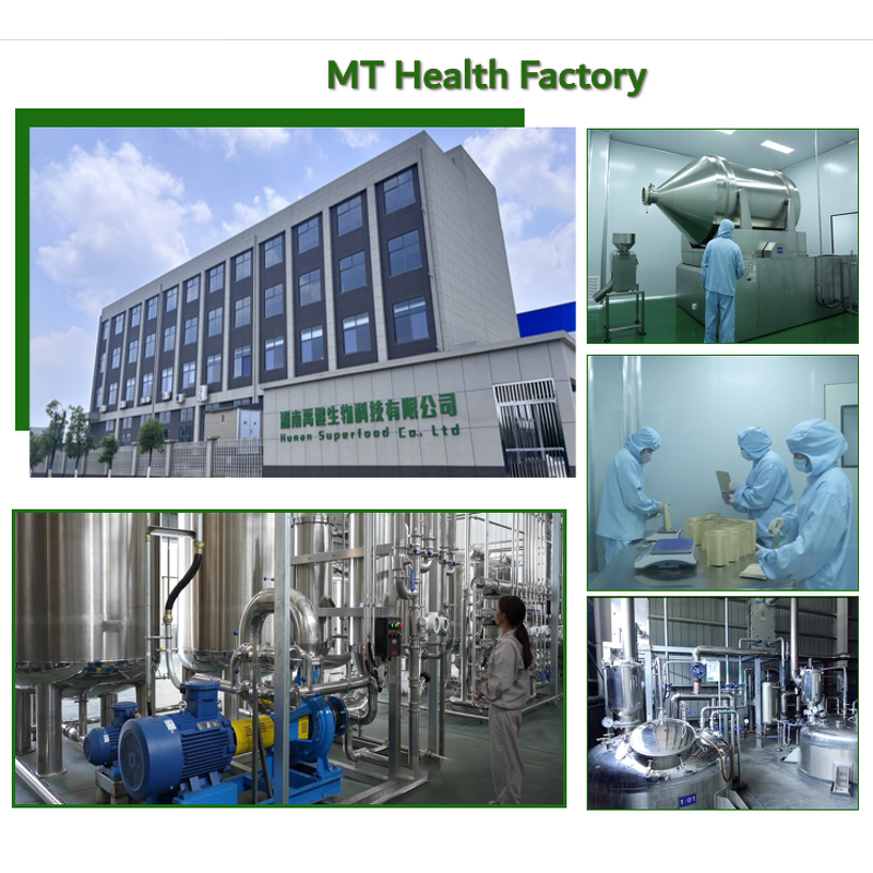 Ceremonial Matcha Powder - Pure Natural Bulk Order OEM Factory Direct Supply