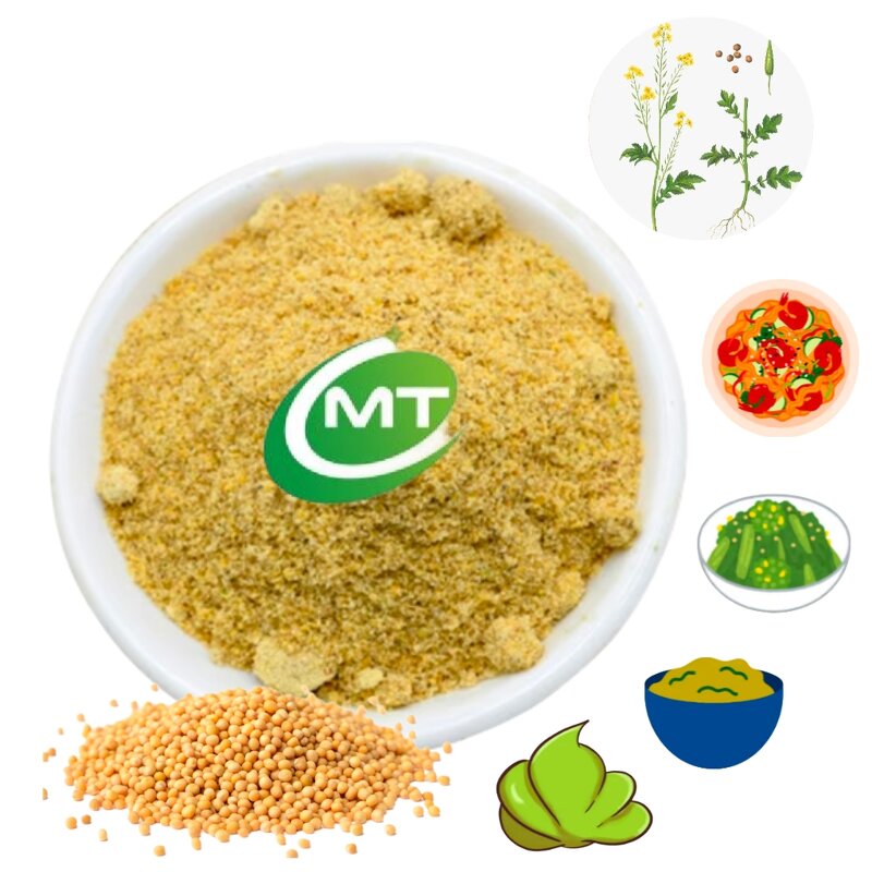 Mustard Extract Powder - 100% Pure Natural Food Seasoning Health Product