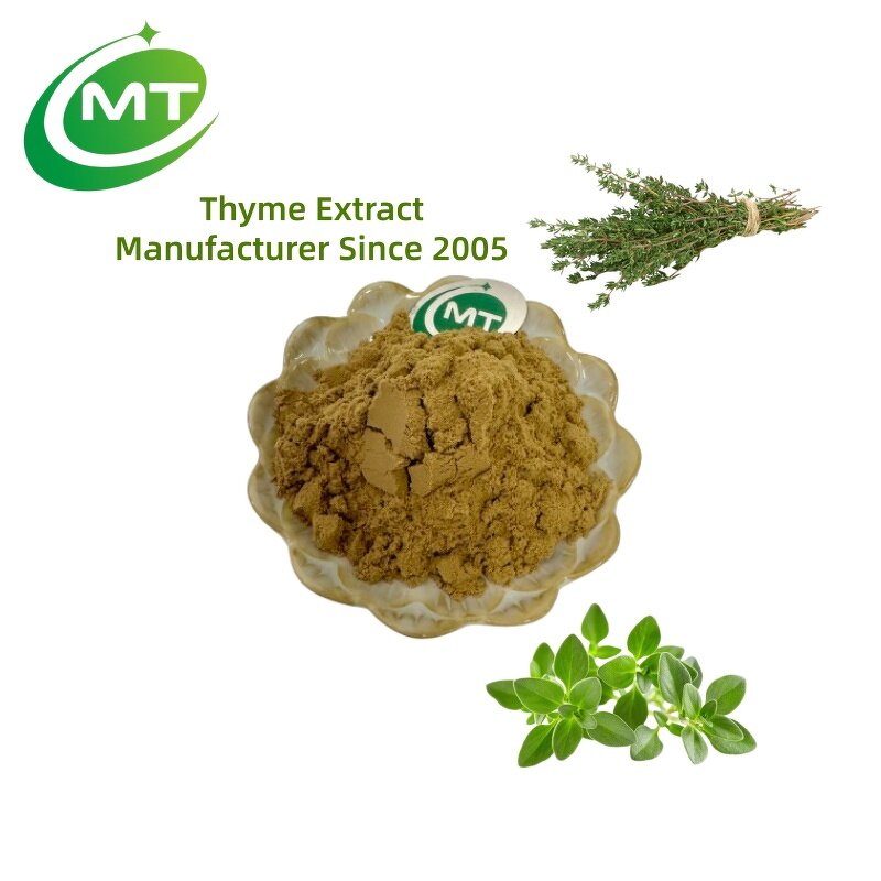 Thyme Extract - 100% Natural Pure Bulk Order OEM Herbal Supplement