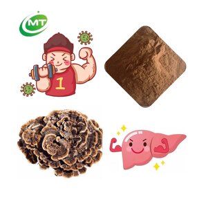 Turkey Tail Extract - Coriolus Versicolor Standardized Polysaccharides Yunzhi