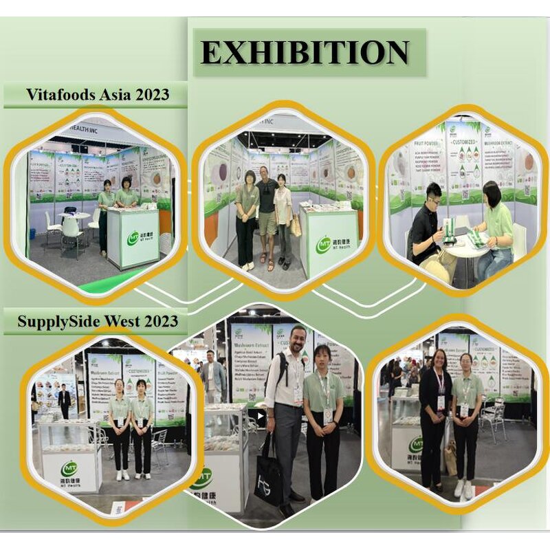 Faba Bean Protein Powder - 90% Isolate Broad Fava Bean Bulk Factory Supply