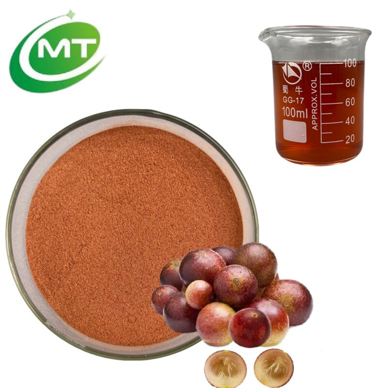 Camu Camu Fruit Powder - 25% Vitamin C 100% Pure Natural Supplement