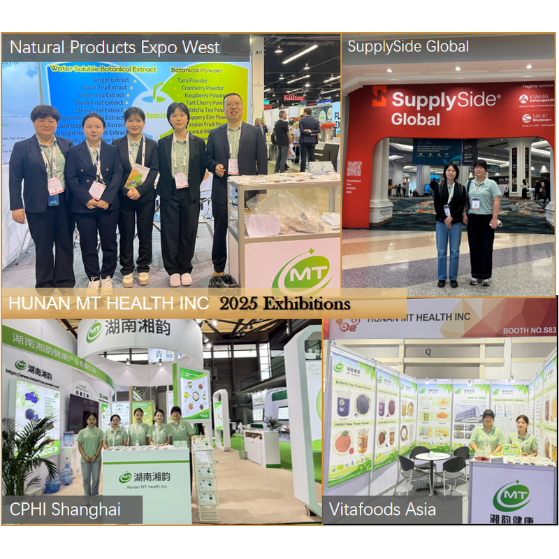 Hovenia Dulcis Extract - Japanese Raisin Tree Hangover Relief Liver Support