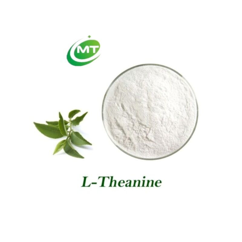 L Theanine Extract - Food Grade Green Tea Herbal Supplement Best Price