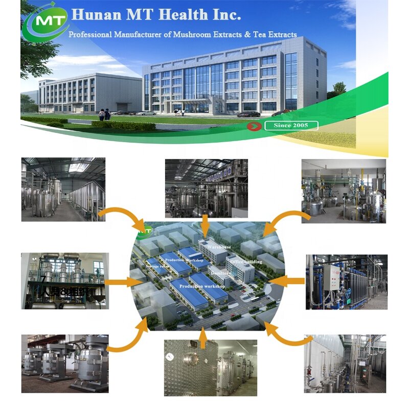 Pu'er Tea Extract - Freeze Dried Instant 20% Polyphenols 100% Soluble