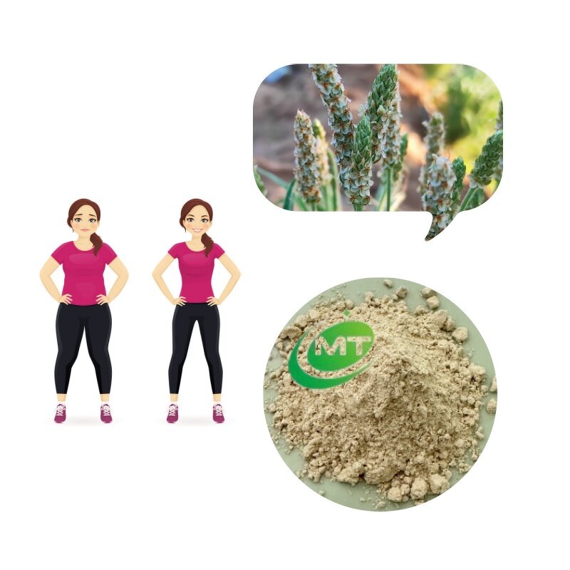 Psyllium Husk Powder - 99% Pure Soluble Fiber Gluten-Free Weight Management