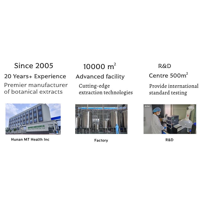 10 in 1 Mushroom Extract - Customized Blend ISO 100% Natural Free Sample