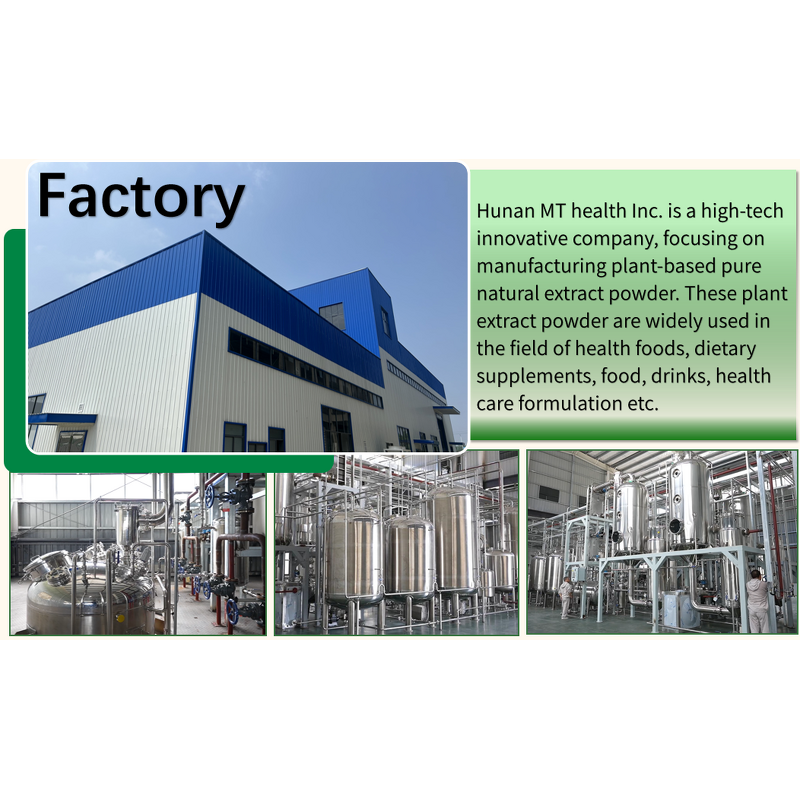 10 in 1 Mushroom Extract - Customized Blend ISO 100% Natural Free Sample