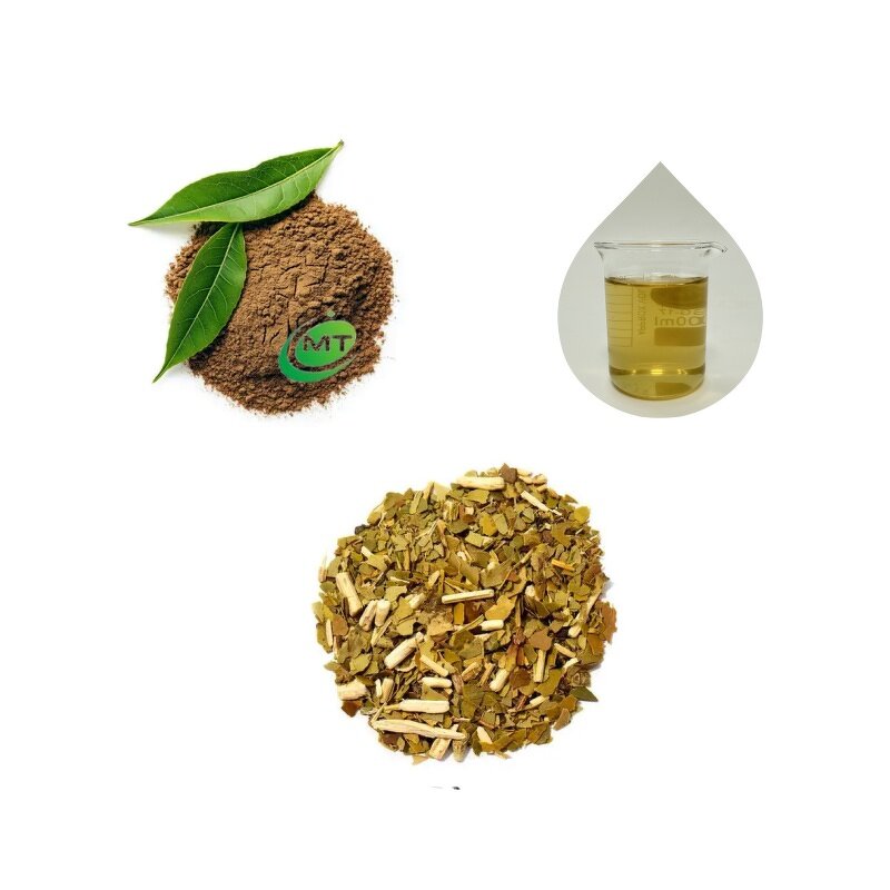 Yerba Mate Tea Extract - 10:1 Ilex Paraguariensis 100% Natural Health Support