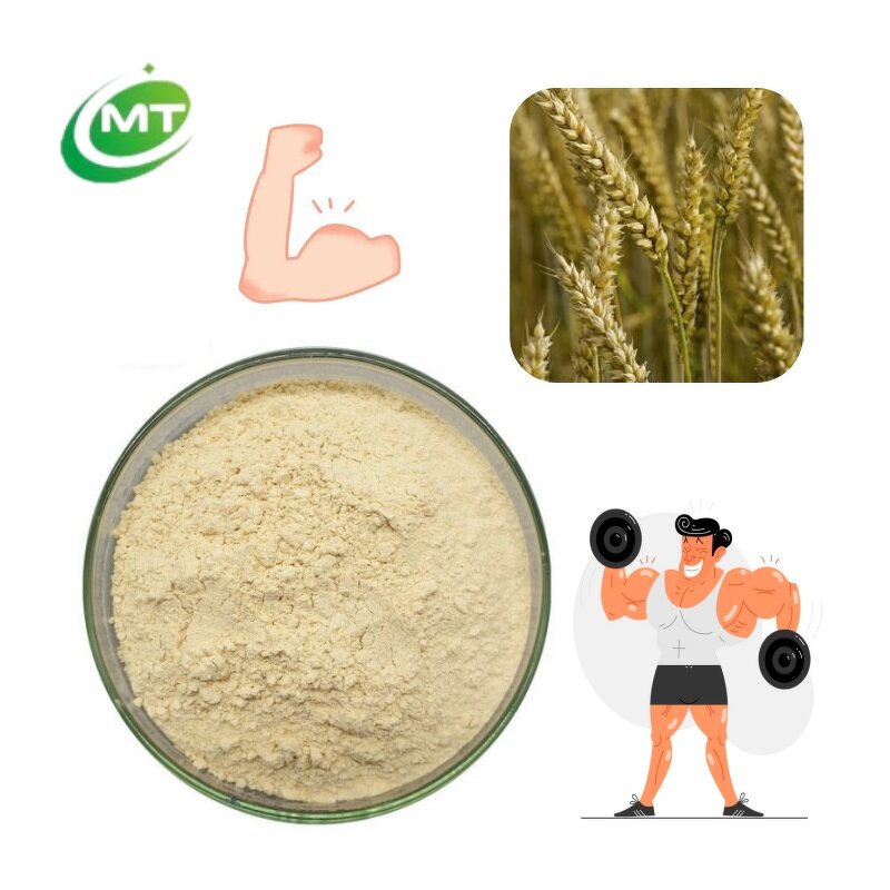 Wheat Protein Powder - 100% Pure Hydrolyzed Plant Based Food Grade Free Sample
