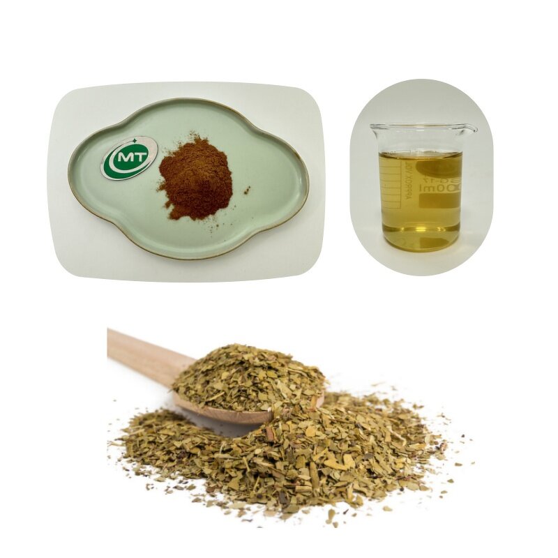 Ilex Paraguariensis Powder - 100% Pure Yerba Mate Extract Free Sample Wholesale