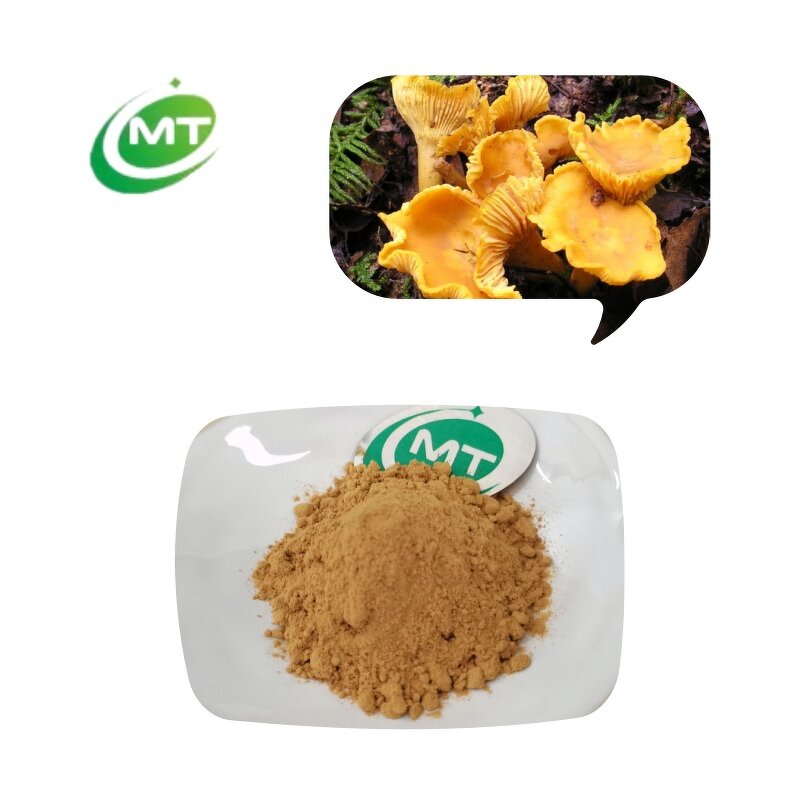 Golden Chanterelle Extract - 100% Pure Cantharellus Cibarius Fruit Body