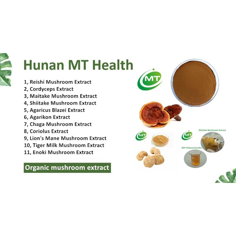 Lion's Mane Extract - Food Grade Hericium Erinaceus Immune Support Direct Supply