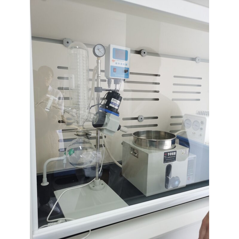 Uva Ursi Extract Manufacturer - Plant Extract for Skin Whitening Bilberry Leaf 10:1