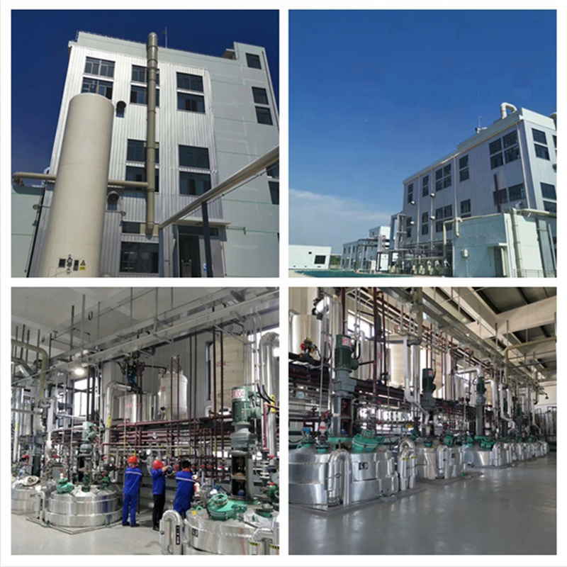 Vanillyl Butyl Ether Manufacturer - CAS 82654-98-6 & Factory Supply