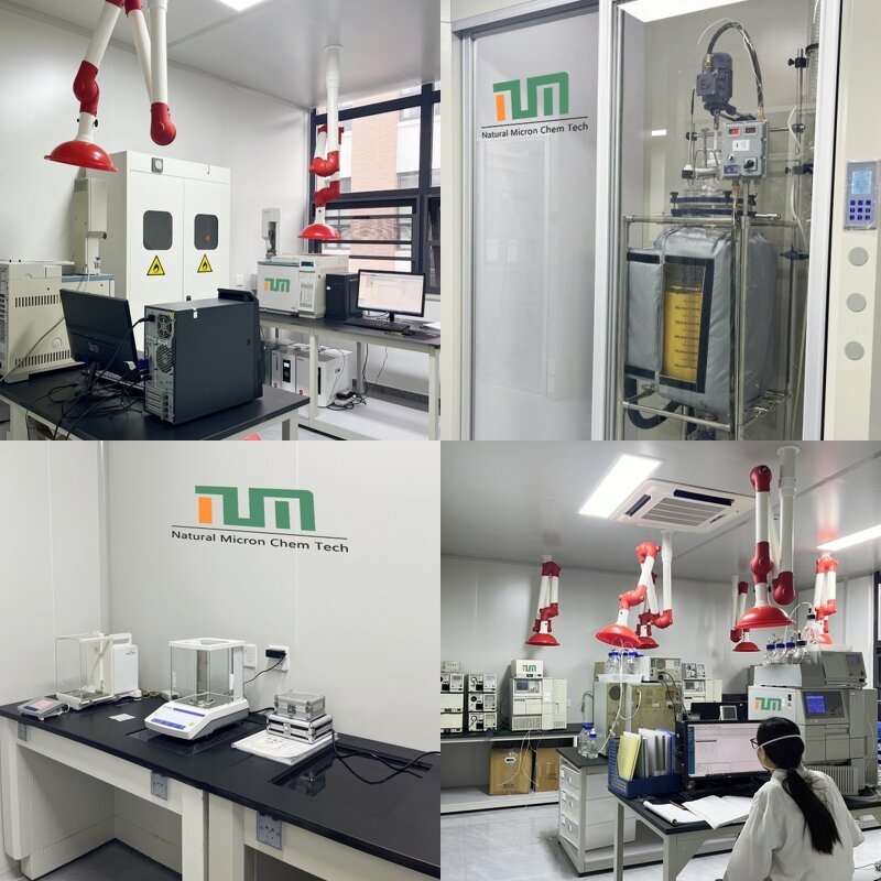 Ethyl Cellulose Manufacturer - EC Powder Viscosity N50 CAS 9004-57-3 & Ready Stock