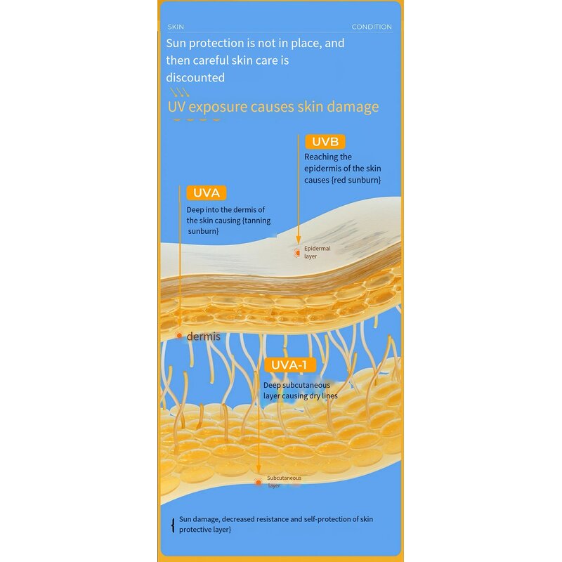 Sunscreen Cream Manufacturer - Private Label SPF 50 PA+++ Whitening Water Resistant 30g for All Skin Types & PeilSi