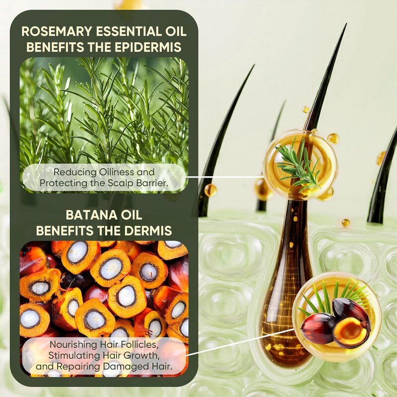 Batana Oil Shampoo - Private Label Rosemary Ginger Castor Anti Hair Loss Scalp Treatment