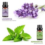 Essential oil