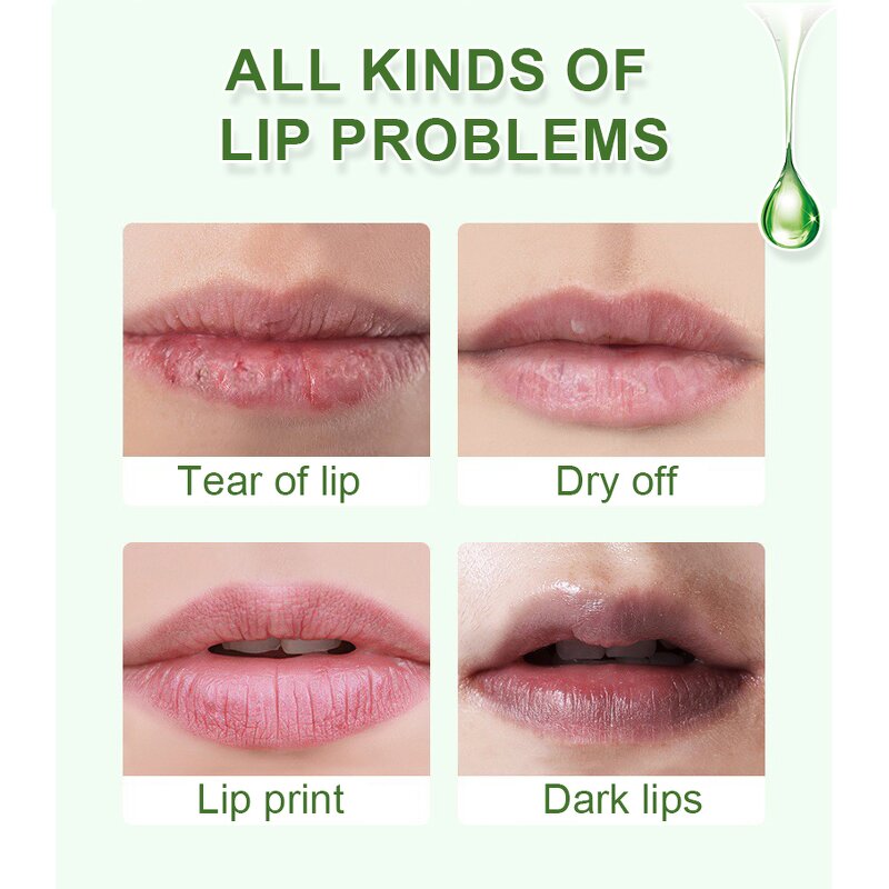 Green Clear Lip Gloss - No Logo Vegan Plant Fruit Flavor Moisturizer Plumping Lip Oil
