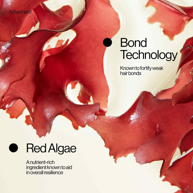 Sulfate-Free Hair Set - Anti-Dandruff Red Algae Bond Technology Women Hair Loss OEM ODM