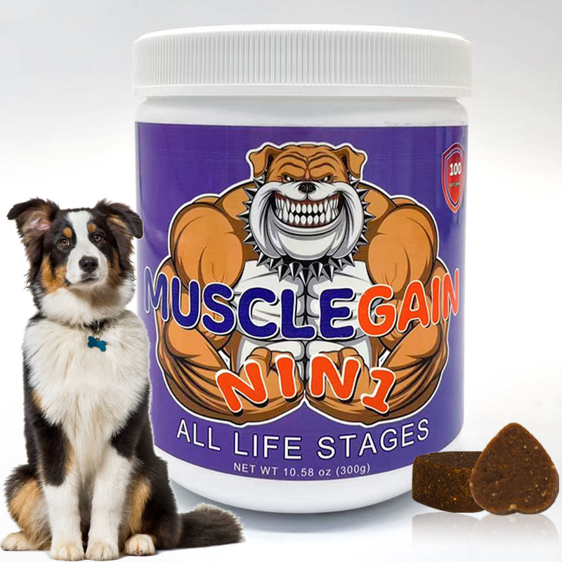 American Bully Supplement - Manufacturer - N in 1 Joint MSM Glucosamine Muscles Builder