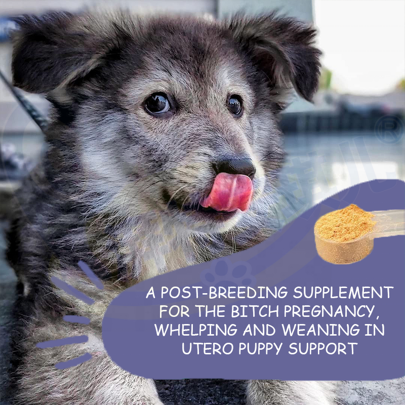 Gestamate Dog Supplement - Manufacturer - Botanical Blend Pregnant Post Breeding Whelp Weaning