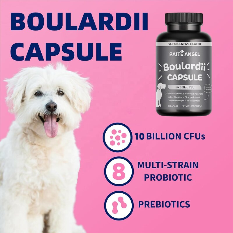 Dog Probiotic Capsule - Manufacturer - Private Label 10B CFU 8 Strains Saccharomyces Boulardii