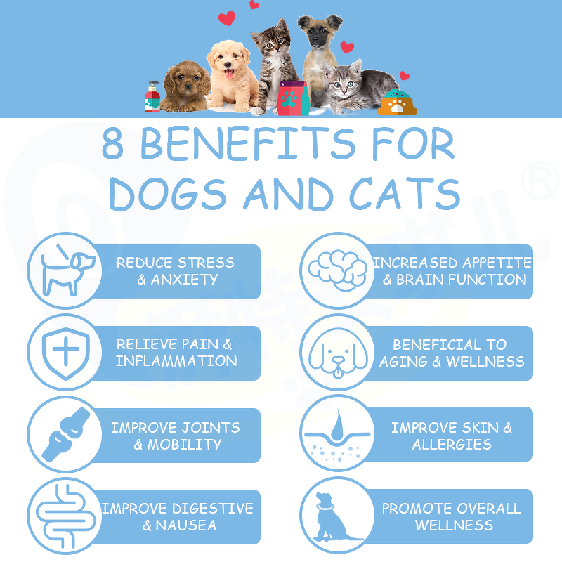 Dog Hemp Oil Supplement - Manufacturer - Oem&Odm Allergy Immunity Arthritis Pain Relief Organic