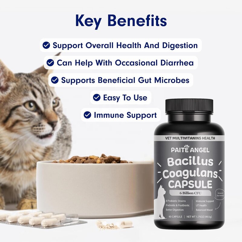 Cat Probiotic Capsules - Manufacturer - 6B CFU 8 Strains Prebiotic Postbiotic Digestion Immune