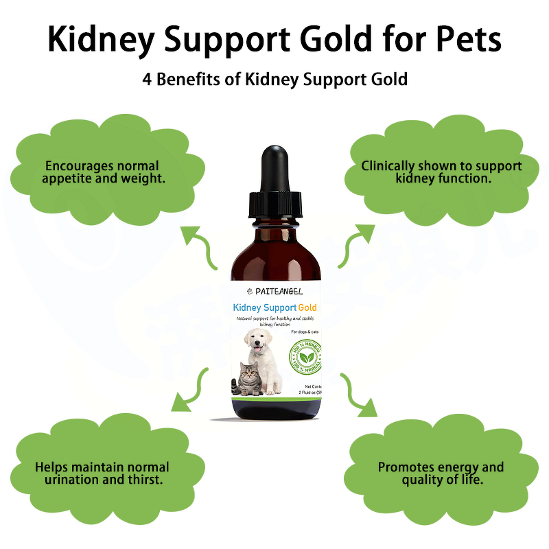 Dog Urinary Tract Support - Manufacturer - Professional Custom Brand Immune Kidney Function