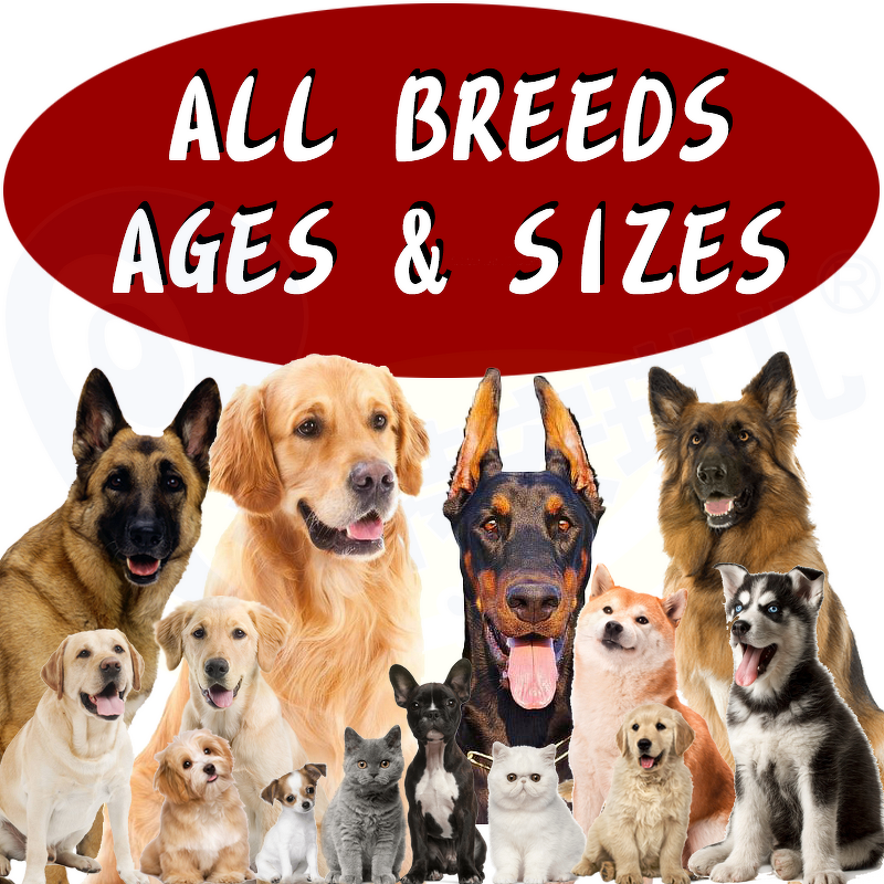 Organic Dog Joint Supplement - Manufacturer - Glucosamine Reduce Discomfort Improve Mobility