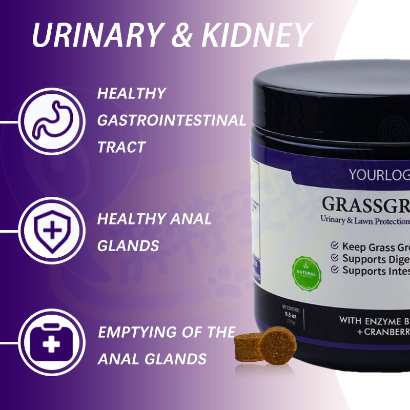 Pet Urinary Soft Chews - Manufacturer - Custom Brand Cranberry Kidney Health Dog Supplement