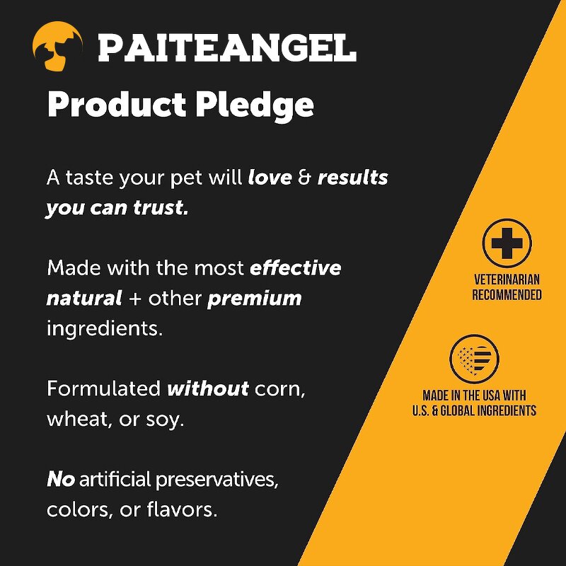 Dog Allergy Relief Chew - Manufacturer - Omega 3 Pumpkin Hot Spot Itchy Skin Treatment Soft