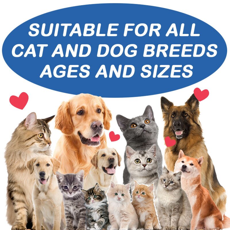 Pet Immune Tablet - Manufacturer - Chewable Probiotic Vitamin E C Seasonal Allergy Support