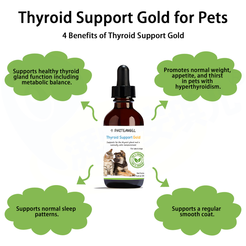 Pet Liver Supplement - Manufacturer - Oem&Odm Cat Vitamin Thyroid Heart Calm Liver Support