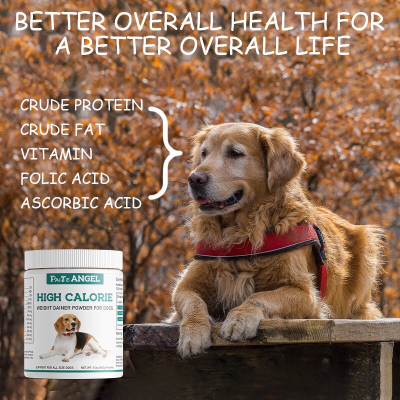 Dog Weight Gainer Powder - Manufacturer - Custom High-Calorie Protein Muscle Building Canine