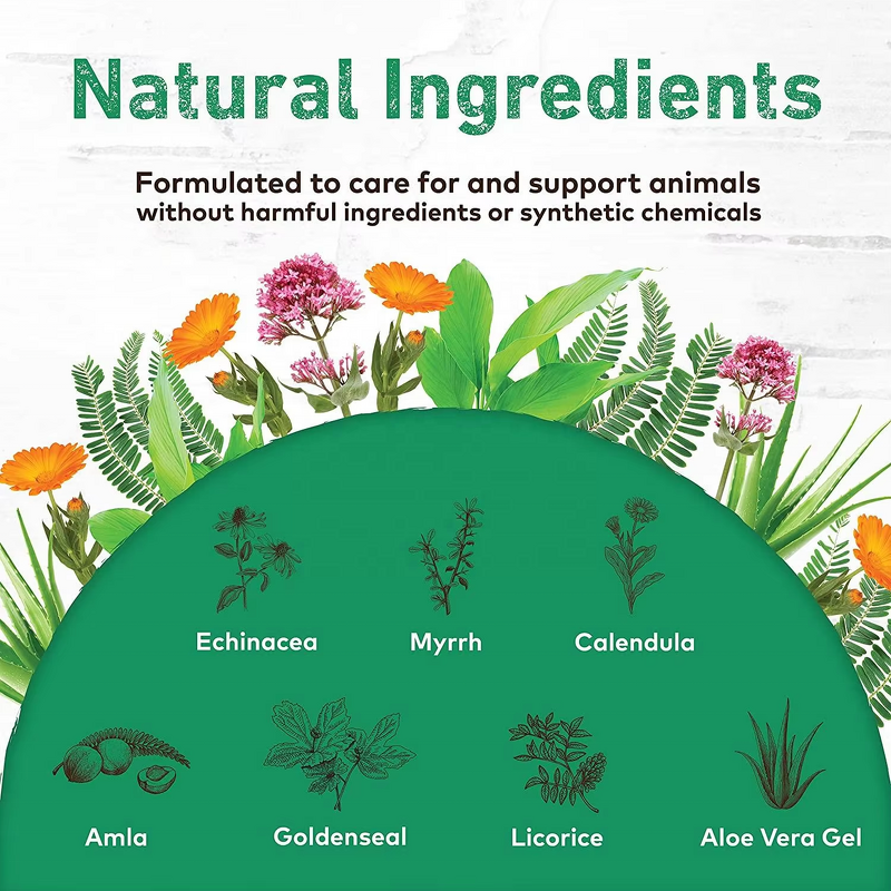 Dental Supplement - Manufacturer - Organic Herbal Liquid Clean Mouth Gums Breath Pet Care