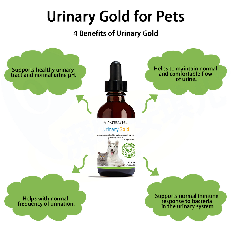 Dog Bladder Supplement - Manufacturer - Urinary Tract Minerals Kidney Immunity Fluid Balance