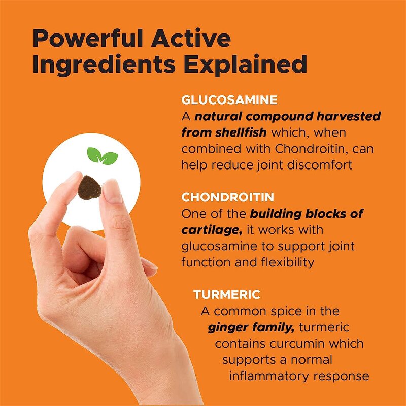 Dog Joint Supplement - Manufacturer - Private Label Hip Joint Mobility Active Support Care