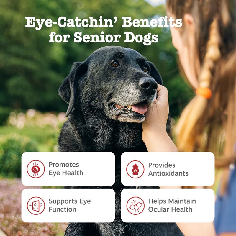 Dog Eye Care Supplement - Manufacturer - Customized Daily Vision Soft Chews Immune Support
