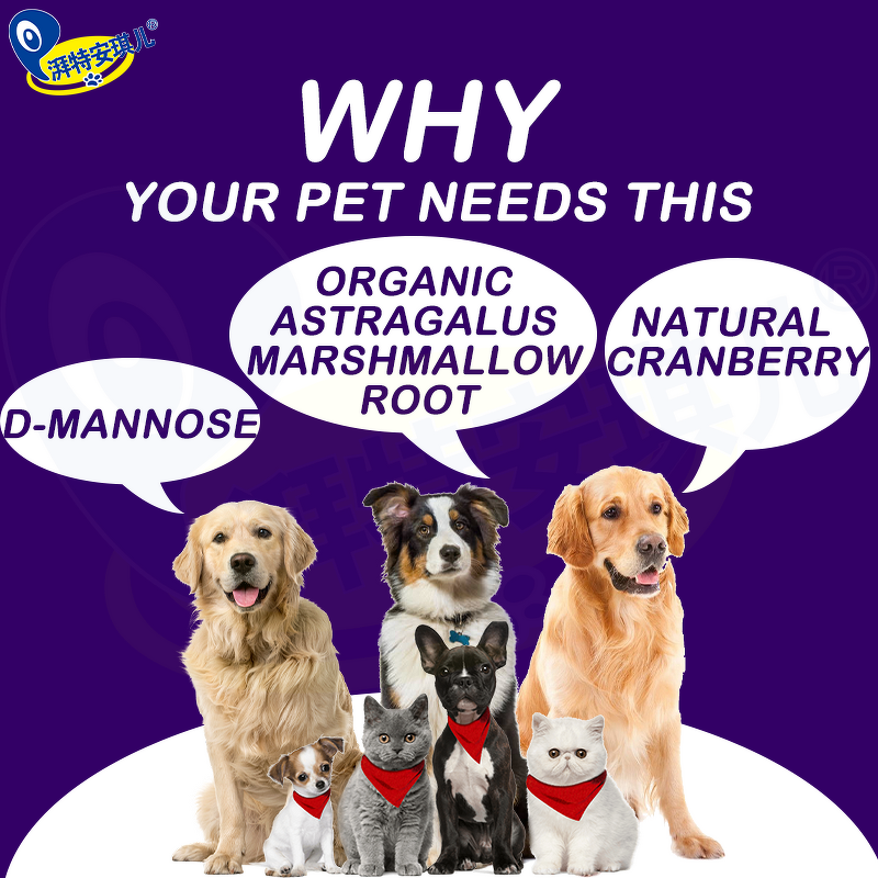 Probiotic Soft Chews - Manufacturer - Wholesale Private Label Grass Green for Dogs Cats