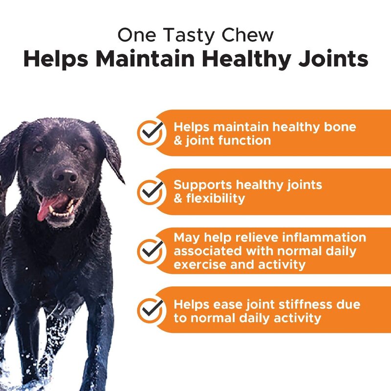 Dog Joint Supplement - Manufacturer - Private Label Hip Joint Mobility Active Support Care
